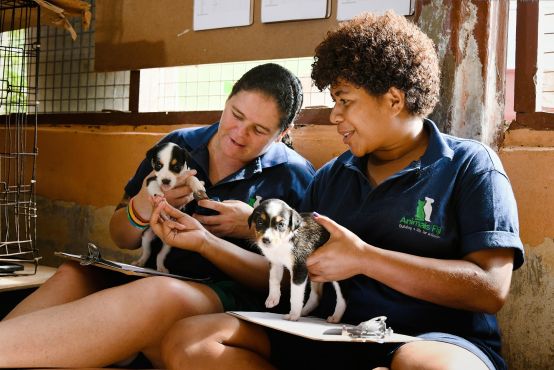 Two people holding pups in their hands wearing their work uniform.