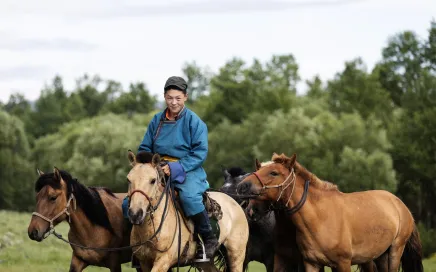 A young man in a blue traditional Mongolian dress rides a light brown horse accompanied by two other darker brown horses.