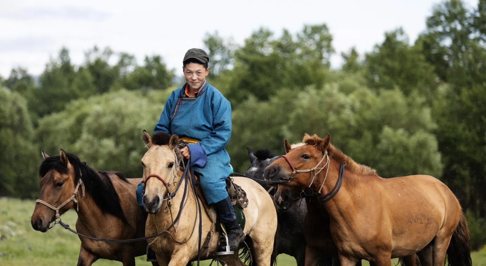 A young man in a blue traditional Mongolian dress rides a light brown horse accompanied by two other darker brown horses.