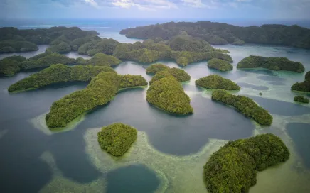 An overhead photo of small islands covered in trees in the sea