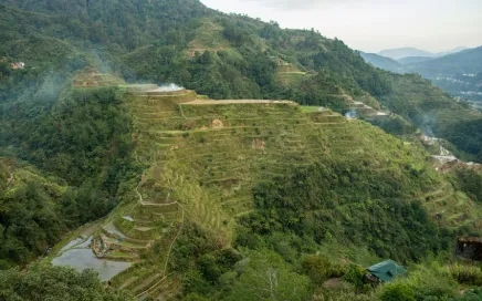 A mountain with rice paddies terraced down the side