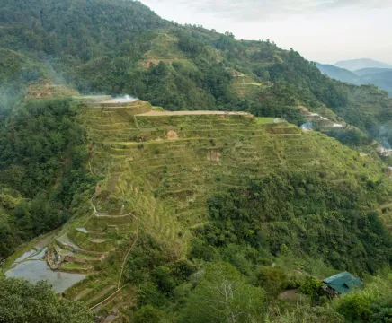 A mountain with rice paddies terraced down the side
