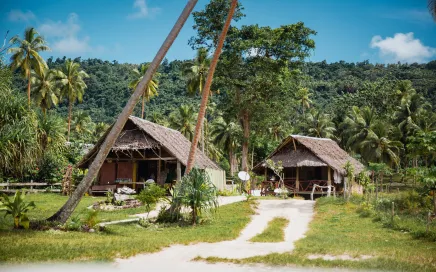 Two large houses with straw roofs are set between lush green palm trees.