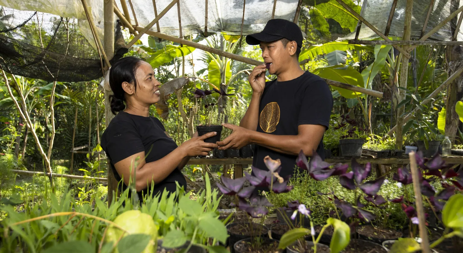 A man and a woman in Emas Hitam's garden in Indonesia. They are surrounded by lush plants, and smiling at each other.