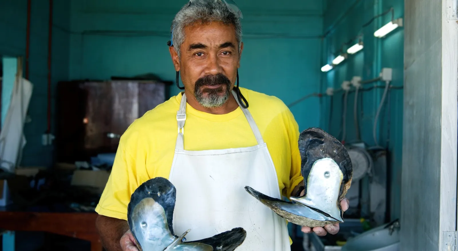 A man in a yellow t-shirt and an apron hold two very large shells in his hands. He makes eye contact with the camera as he shows them off.