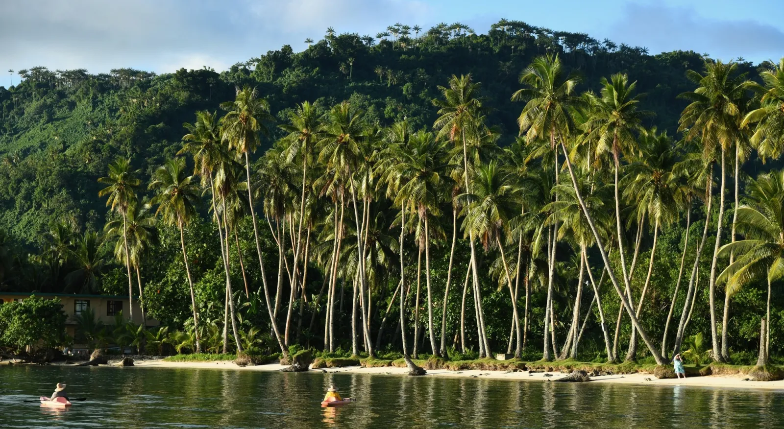 A photo taken from the ocean, looking towards the shore. There are many tall palm trees along a sandy beach.