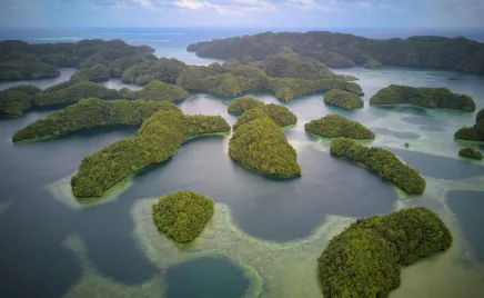 A drone shot from Palau, over the area of Koror. There are many green islands separated by dark blue water.