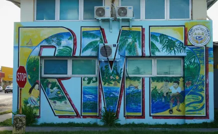 Street art on a building. The letters R-M-I are painted on a wall, the letters are full of palm leaves and surf.