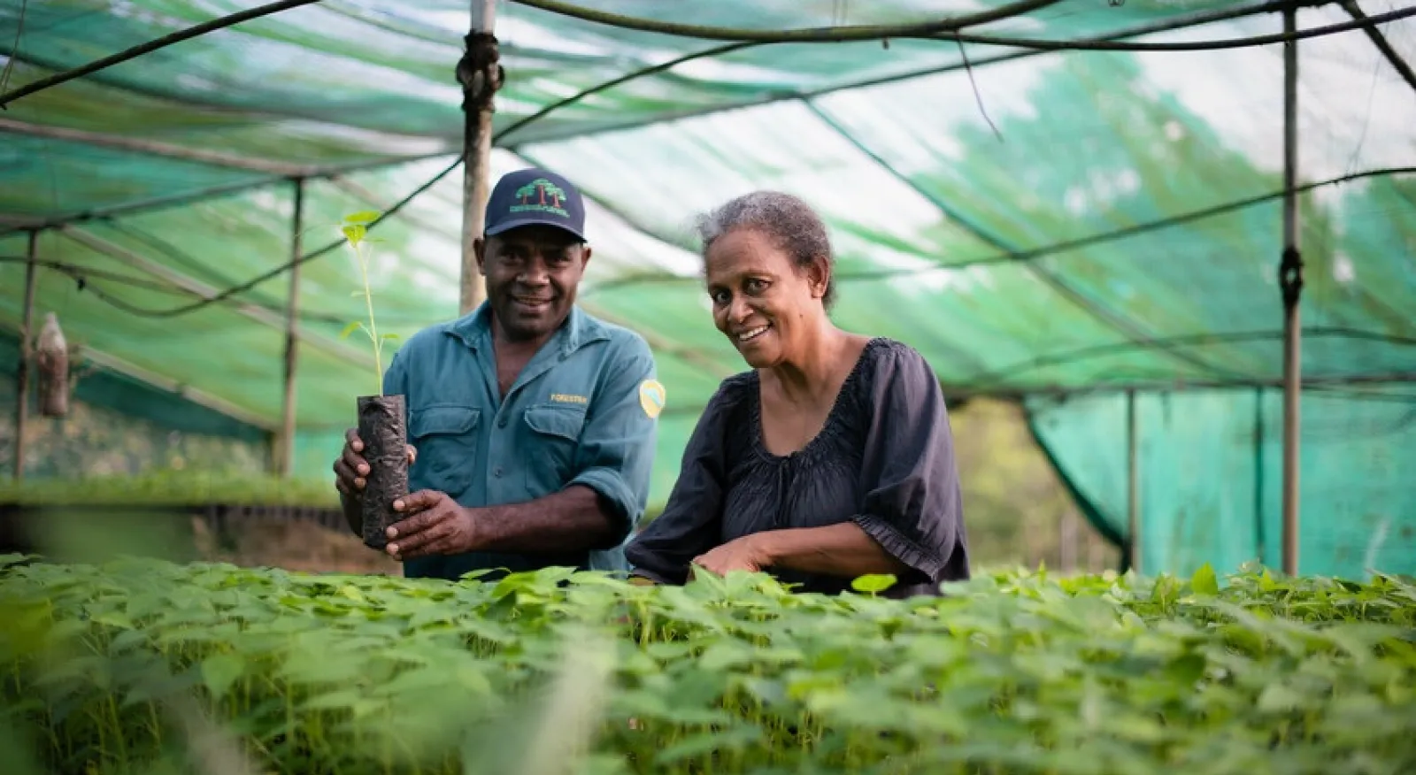 Two people stand next to each other in a green house in front of a vast expanse of seedlings. The person on the left holds a seedling.