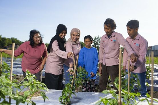 Six people stand in a vegetable garden, all candidly looking on at plants growing. Behind them is a blue sky, and many more garden beds.