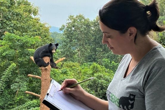 A person stands to the right of the frame with a pen poised over a checklist on a clipboard. In the background, a bear is sitting at the top of a tree trunk looking towards the camera. Elsewhere in the background are trees, mountains and a blue sky.