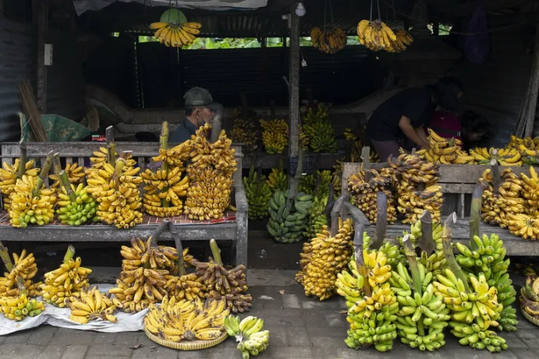 Lots of bunches of bananas at a market stall