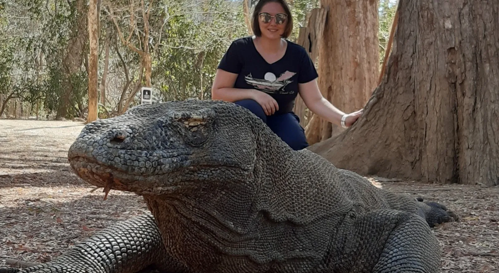 A woman stands behind a komodo dragon.