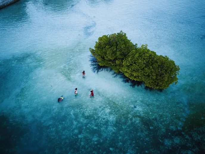Small figures of four people net fishing from an aerial drone shot.
