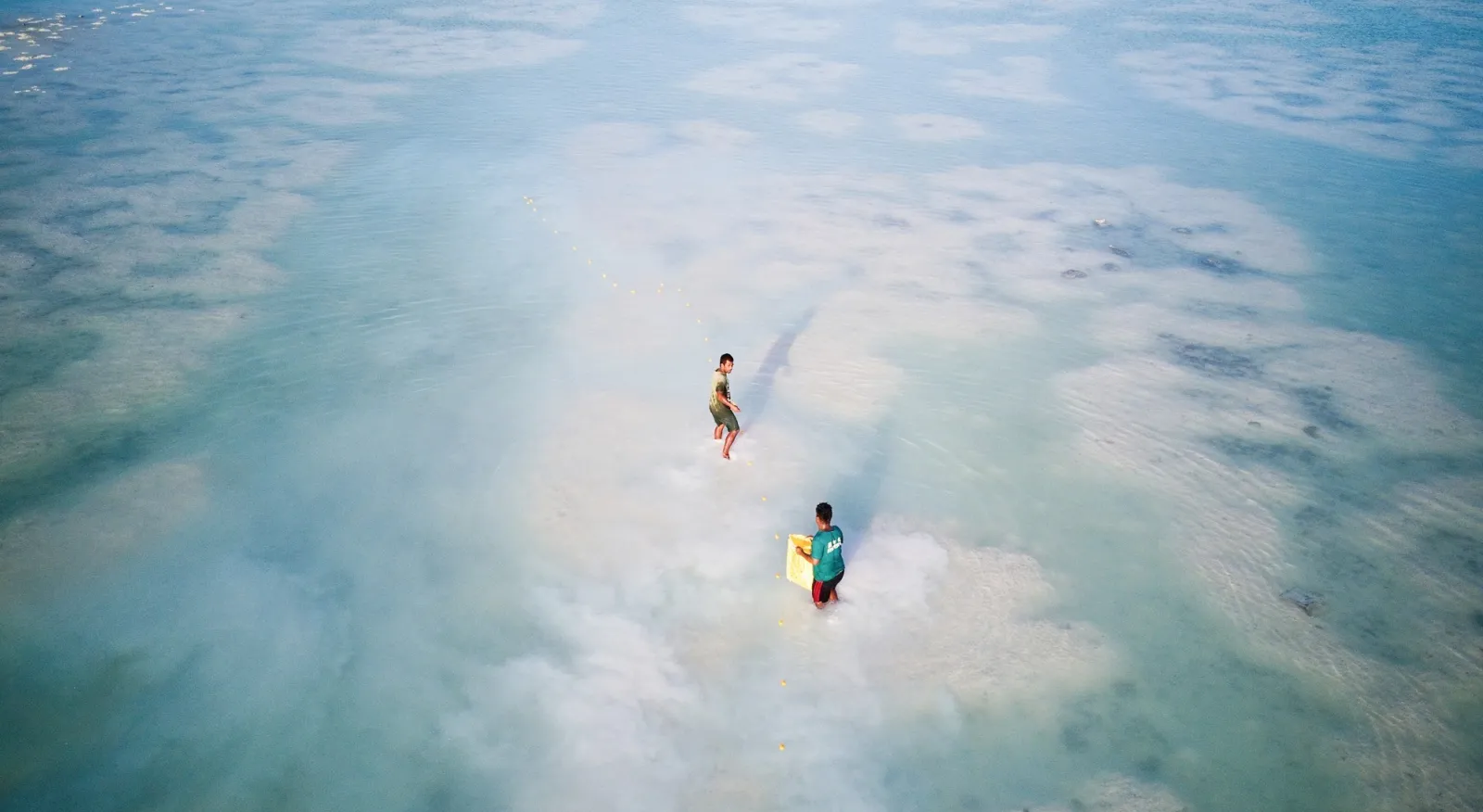 Aerial drone shot of two small figures are fishing with nets in crystal blue shallow water.
