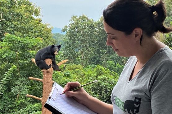 A person with paper and a pen observes a bear in a tree in the background.