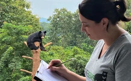 A person with paper and a pen observes a bear in a tree in the background.