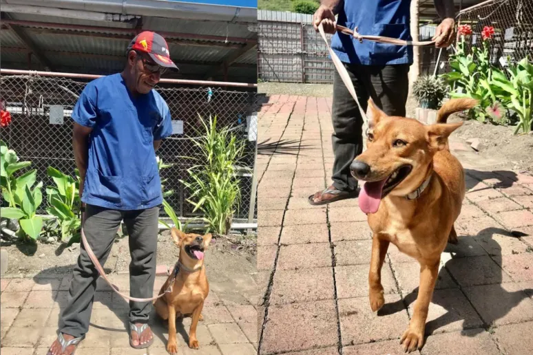 A vet in a blue shirt standing beside a very happy brown dog. They are about to go for a walk.