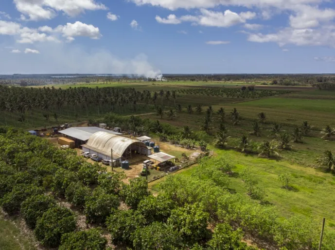 A birdseye view of a farm in a tropical setting.