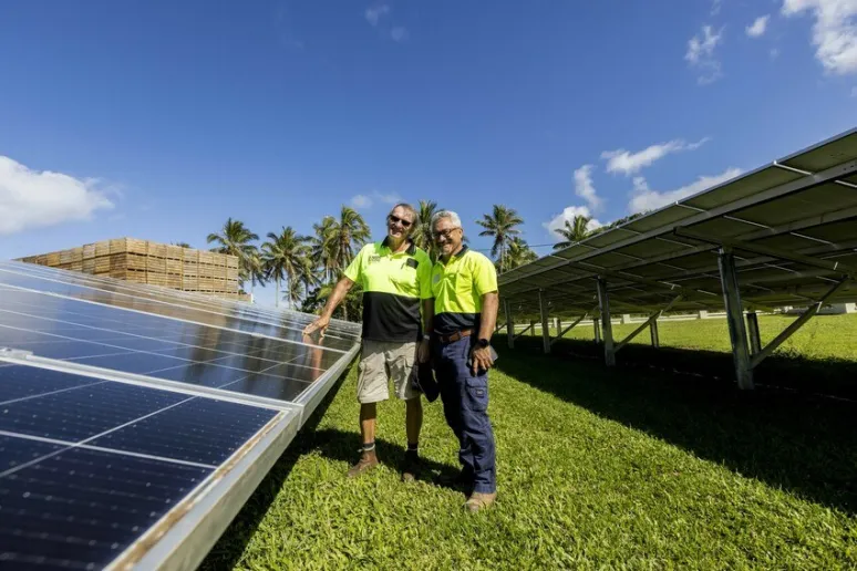 Two people wearing high vis stand together next to a row of large solar panels. Palm trees are visible behind them.