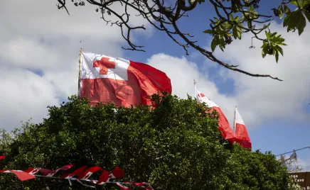 A number of flags of Tonga are flying in the breeze, atop a hill with trees.